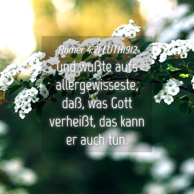 Picture 04 - Römer 4:21 LUTH1912 - und wußte aufs allergewisseste, daß, was Gott - Bible Verse Picture
