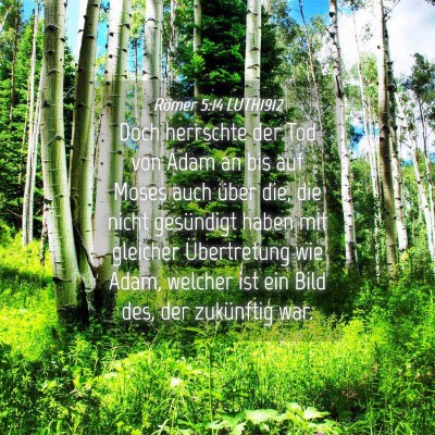 Picture 04 - Römer 5:14 LUTH1912 - Doch herrschte der Tod von Adam an bis auf Moses - Bible Verse Picture