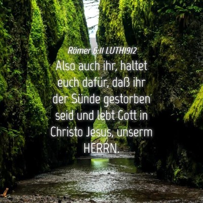 Picture 04 - Römer 6:11 LUTH1912 - Also auch ihr, haltet euch dafür, daß ihr der - Bible Verse Picture