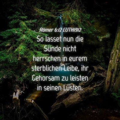 Picture 04 - Römer 6:12 LUTH1912 - So lasset nun die Sünde nicht herrschen in eurem - Bible Verse Picture