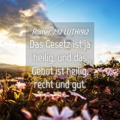 Picture 04 - Römer 7:12 LUTH1912 - Das Gesetz ist ja heilig, und das Gebot ist - Bible Verse Picture