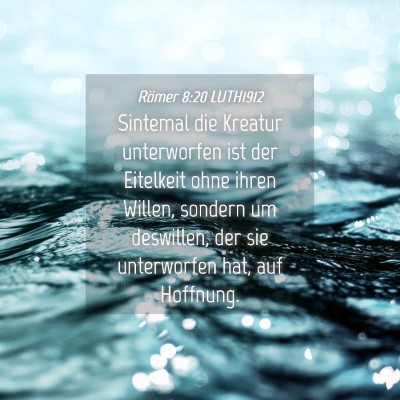 Picture 04 - Römer 8:20 LUTH1912 - Sintemal die Kreatur unterworfen ist der - Bible Verse Picture