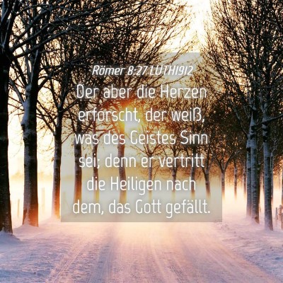 Picture 04 - Römer 8:27 LUTH1912 - Der aber die Herzen erforscht, der weiß, was des - Bible Verse Picture
