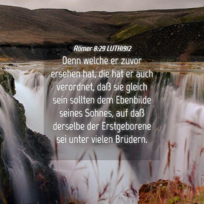 Picture 04 - Römer 8:29 LUTH1912 - Denn welche er zuvor ersehen hat, die hat er auch - Bible Verse Picture