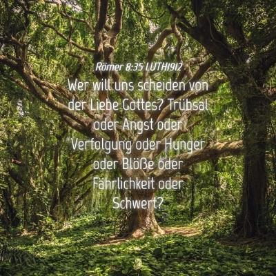 Picture 04 - Römer 8:35 LUTH1912 - Wer will uns scheiden von der Liebe Gottes? - Bible Verse Picture