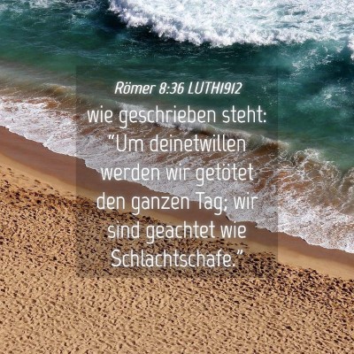 Picture 04 - Römer 8:36 LUTH1912 - wie geschrieben steht: “Um deinetwillen werden - Bible Verse Picture