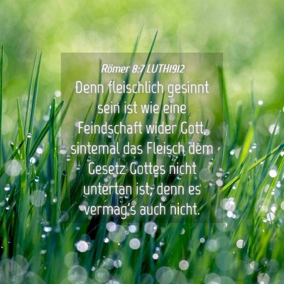 Picture 04 - Römer 8:7 LUTH1912 - Denn fleischlich gesinnt sein ist wie eine - Bible Verse Picture