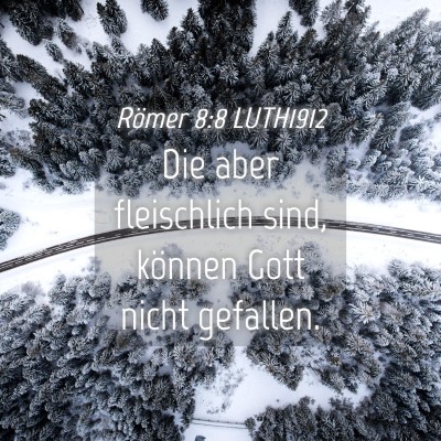 Picture 04 - Römer 8:8 LUTH1912 - Die aber fleischlich sind, können Gott nicht - Bible Verse Picture