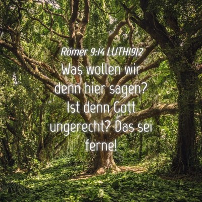 Picture 04 - Römer 9:14 LUTH1912 - Was wollen wir denn hier sagen? Ist denn Gott - Bible Verse Picture