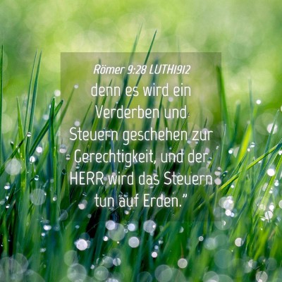 Picture 04 - Römer 9:28 LUTH1912 - denn es wird ein Verderben und Steuern geschehen - Bible Verse Picture