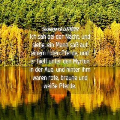 Picture 04 - Sacharja 1:8 LUTH1912 - Ich sah bei der Nacht, und siehe, ein Mann saß - Bible Verse Picture