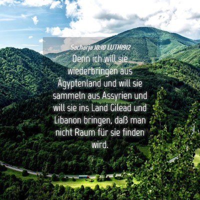 Picture 04 - Sacharja 10:10 LUTH1912 - Denn ich will sie wiederbringen aus Ägyptenland - Bible Verse Picture