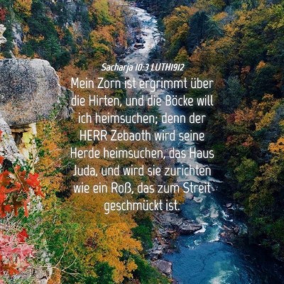Picture 04 - Sacharja 10:3 LUTH1912 - Mein Zorn ist ergrimmt über die Hirten, und die - Bible Verse Picture