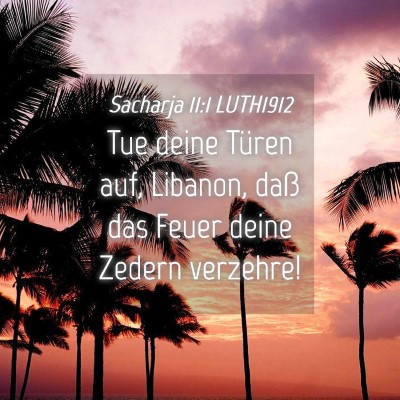 Picture 04 - Sacharja 11:1 LUTH1912 - Tue deine Türen auf, Libanon, daß das Feuer - Bible Verse Picture