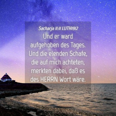 Picture 04 - Sacharja 11:11 LUTH1912 - Und er ward aufgehoben des Tages. Und die elenden - Bible Verse Picture