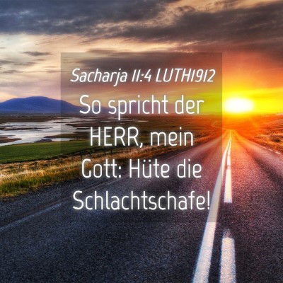 Picture 04 - Sacharja 11:4 LUTH1912 - So spricht der HERR, mein Gott: Hüte die - Bible Verse Picture