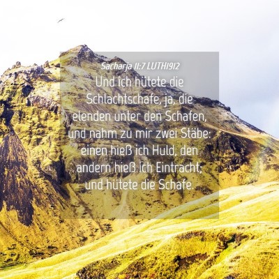 Picture 04 - Sacharja 11:7 LUTH1912 - Und ich hütete die Schlachtschafe, ja, die - Bible Verse Picture