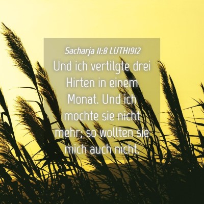Picture 04 - Sacharja 11:8 LUTH1912 - Und ich vertilgte drei Hirten in einem Monat. Und - Bible Verse Picture