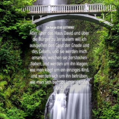Picture 04 - Sacharja 12:10 LUTH1912 - Aber über das Haus David und über die Bürger - Bible Verse Picture