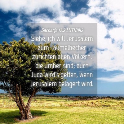 Picture 04 - Sacharja 12:2 LUTH1912 - Siehe, ich will Jerusalem zum Taumelbecher - Bible Verse Picture