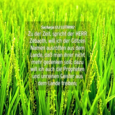 Picture 04 - Sacharja 13:2 LUTH1912 - Zu der Zeit, spricht der HERR Zebaoth, will ich - Bible Verse Picture