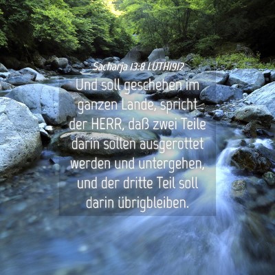Picture 04 - Sacharja 13:8 LUTH1912 - Und soll geschehen im ganzen Lande, spricht der - Bible Verse Picture
