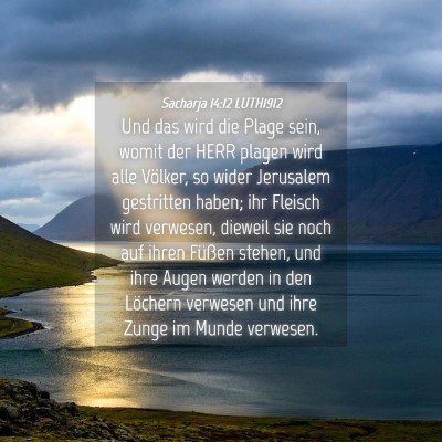 Picture 04 - Sacharja 14:12 LUTH1912 - Und das wird die Plage sein, womit der HERR - Bible Verse Picture
