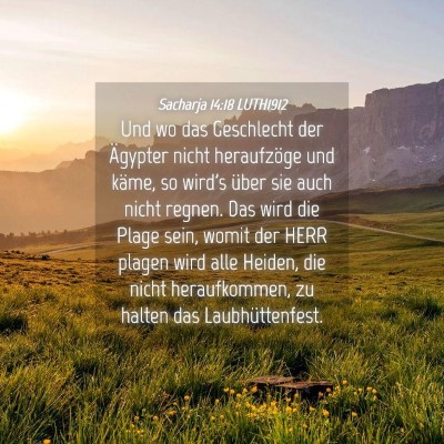 Picture 04 - Sacharja 14:18 LUTH1912 - Und wo das Geschlecht der Ägypter nicht - Bible Verse Picture