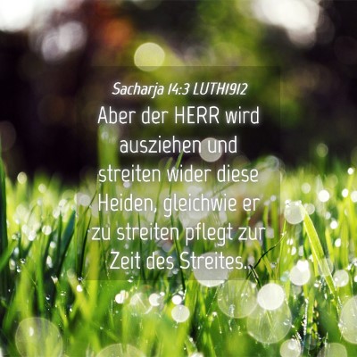 Picture 04 - Sacharja 14:3 LUTH1912 - Aber der HERR wird ausziehen und streiten wider - Bible Verse Picture