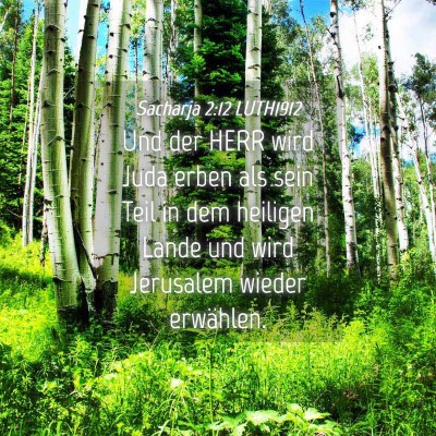 Picture 04 - Sacharja 2:12 LUTH1912 - Und der HERR wird Juda erben als sein Teil in dem - Bible Verse Picture