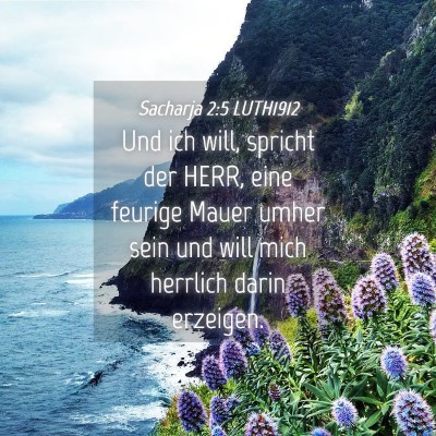 Picture 04 - Sacharja 2:5 LUTH1912 - Und ich will, spricht der HERR, eine feurige - Bible Verse Picture