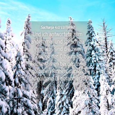 Picture 04 - Sacharja 4:12 LUTH1912 - Und ich antwortete zum andernmal und sprach zu - Bible Verse Picture