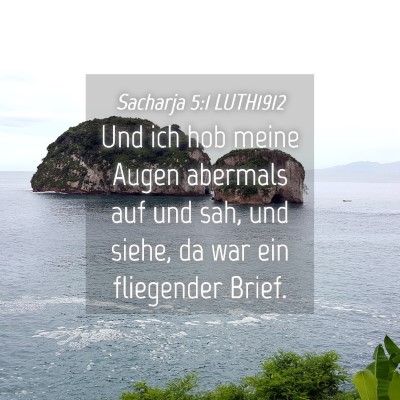 Picture 04 - Sacharja 5:1 LUTH1912 - Und ich hob meine Augen abermals auf und sah, und - Bible Verse Picture