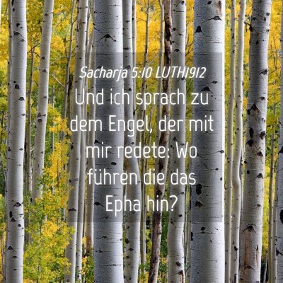 Picture 04 - Sacharja 5:10 LUTH1912 - Und ich sprach zu dem Engel, der mit mir redete: - Bible Verse Picture