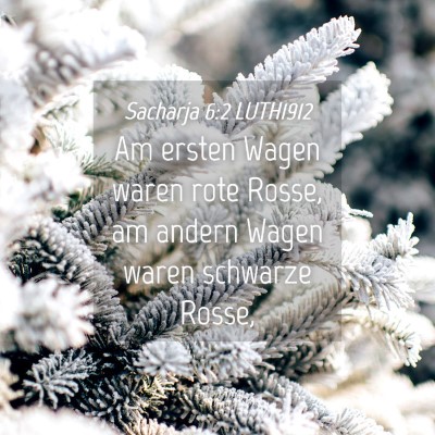 Picture 04 - Sacharja 6:2 LUTH1912 - Am ersten Wagen waren rote Rosse, am andern Wagen - Bible Verse Picture