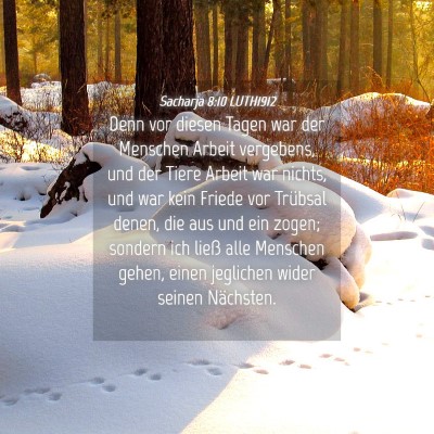 Picture 04 - Sacharja 8:10 LUTH1912 - Denn vor diesen Tagen war der Menschen Arbeit - Bible Verse Picture