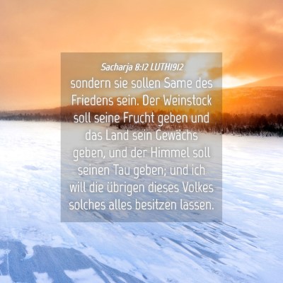 Picture 04 - Sacharja 8:12 LUTH1912 - sondern sie sollen Same des Friedens sein. Der - Bible Verse Picture