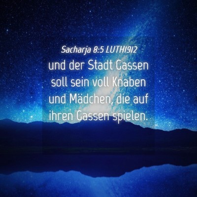 Picture 04 - Sacharja 8:5 LUTH1912 - und der Stadt Gassen soll sein voll Knaben und - Bible Verse Picture