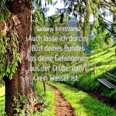 Picture 04 - Sacharja 9:11 LUTH1912 - Auch lasse ich durchs Blut deines Bundes los - Bible Verse Picture