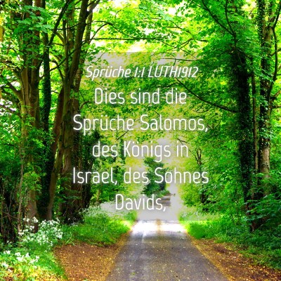 Picture 04 - Sprüche 1:1 LUTH1912 - Dies sind die Sprüche Salomos, des Königs in - Bible Verse Picture