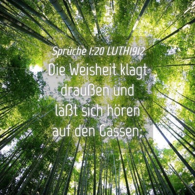 Picture 04 - Sprüche 1:20 LUTH1912 - Die Weisheit klagt draußen und läßt sich - Bible Verse Picture