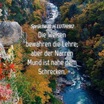 Picture 04 - Sprüche 10:14 LUTH1912 - Die Weisen bewahren die Lehre; aber der Narren - Bible Verse Picture