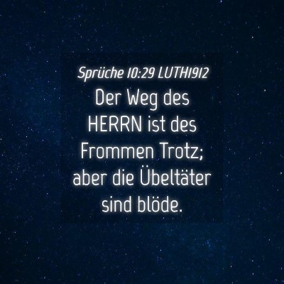 Picture 04 - Sprüche 10:29 LUTH1912 - Der Weg des HERRN ist des Frommen Trotz; aber die - Bible Verse Picture
