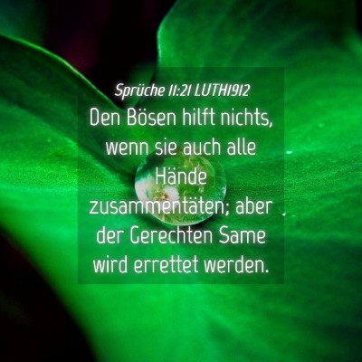 Picture 04 - Sprüche 11:21 LUTH1912 - Den Bösen hilft nichts, wenn sie auch alle - Bible Verse Picture