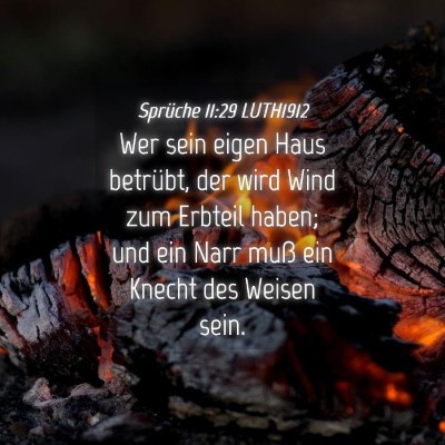Picture 04 - Sprüche 11:29 LUTH1912 - Wer sein eigen Haus betrübt, der wird Wind zum - Bible Verse Picture