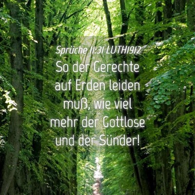 Picture 04 - Sprüche 11:31 LUTH1912 - So der Gerechte auf Erden leiden muß, wie viel - Bible Verse Picture