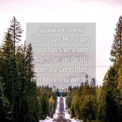 Picture 04 - Sprüche 11:9 LUTH1912 - Durch den Mund des Heuchlers wird sein Nächster - Bible Verse Picture