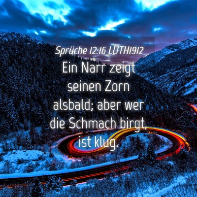 Picture 04 - Sprüche 12:16 LUTH1912 - Ein Narr zeigt seinen Zorn alsbald; aber wer die - Bible Verse Picture