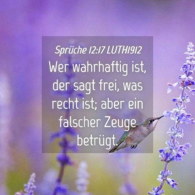 Picture 04 - Sprüche 12:17 LUTH1912 - Wer wahrhaftig ist, der sagt frei, was recht ist; - Bible Verse Picture