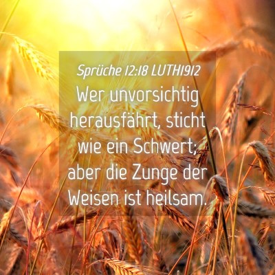 Picture 04 - Sprüche 12:18 LUTH1912 - Wer unvorsichtig herausfährt, sticht wie ein - Bible Verse Picture